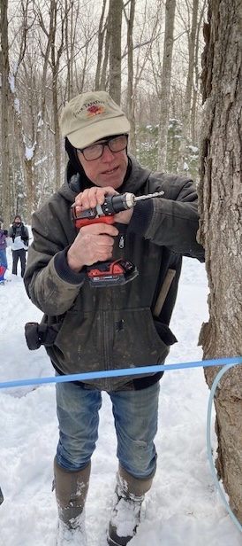 Paul Haldeman tapping sugar maples